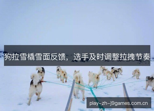 狗拉雪橇雪面反馈，选手及时调整拉拽节奏